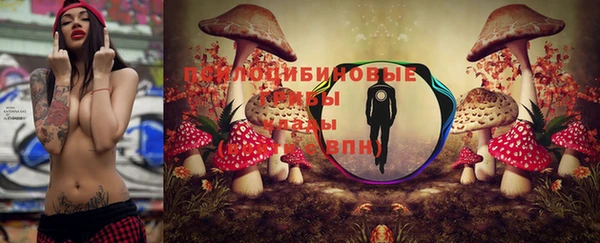 альфа пвп Заволжье