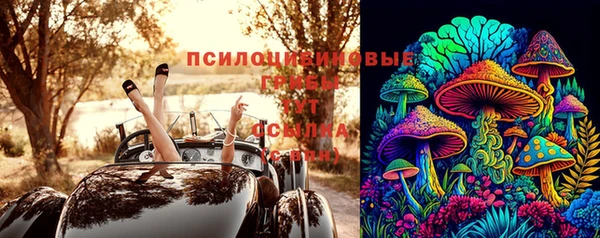 твердый Заволжск